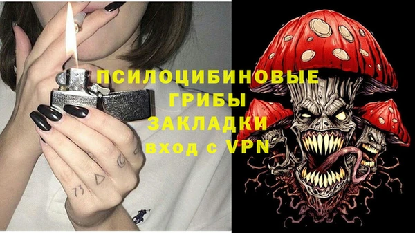 амф Дмитровск