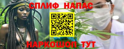 PSILOCYBIN Будённовск